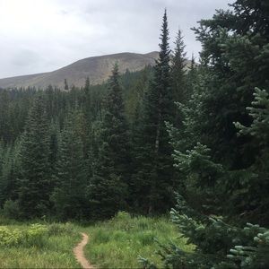 Meet your Posher, Shari